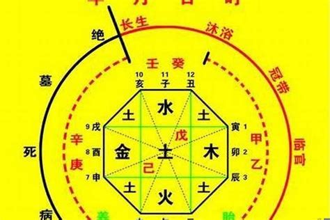 喜用神怎麼算|八字入门基础 第六篇 如何判断八字喜用神